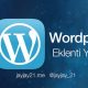 Wordpress eklentisi nasıl ve neden yazılır
